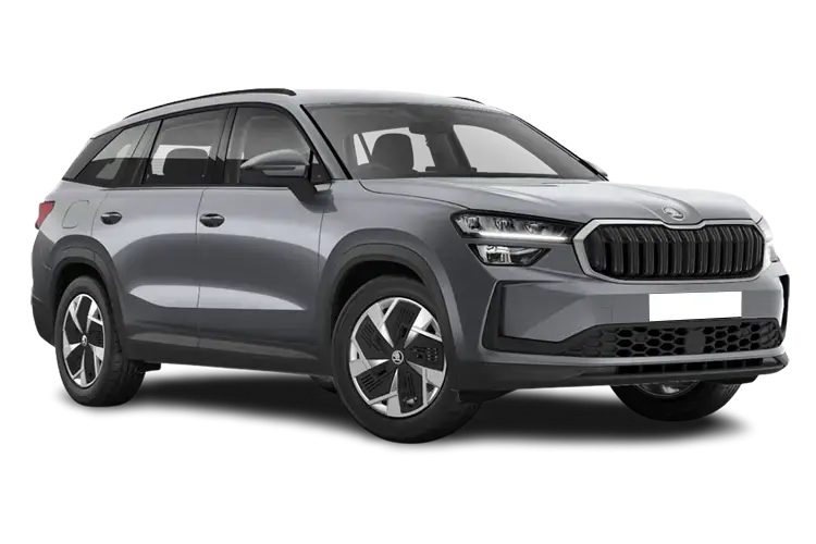 Skoda Kodiaq Estate 2.0 TSI 4X4 5dr DSG [7 Seat]
